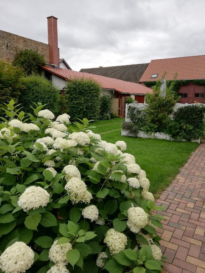 Ferienwohnung Blick Zu Den Sternen Hohenbruck Exterior photo
